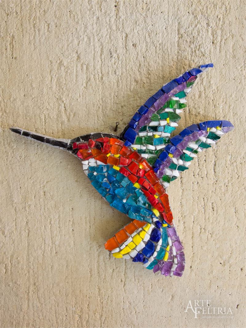 Colibrì dal petto blu