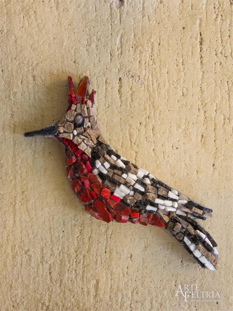 Picchio dall'occhio grigio