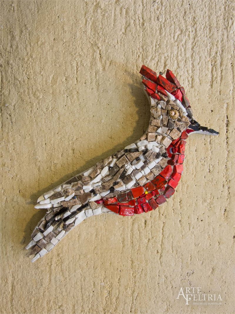 Picchio dall'occhio marrone