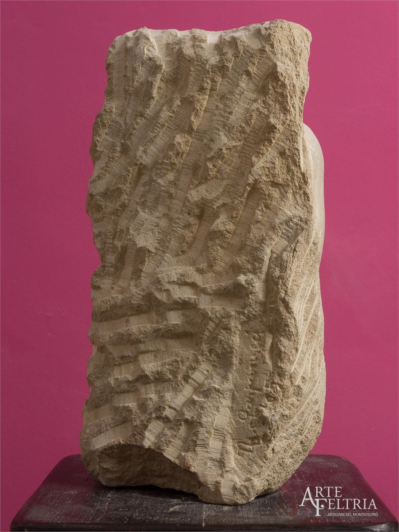 DSCN6739.jpg