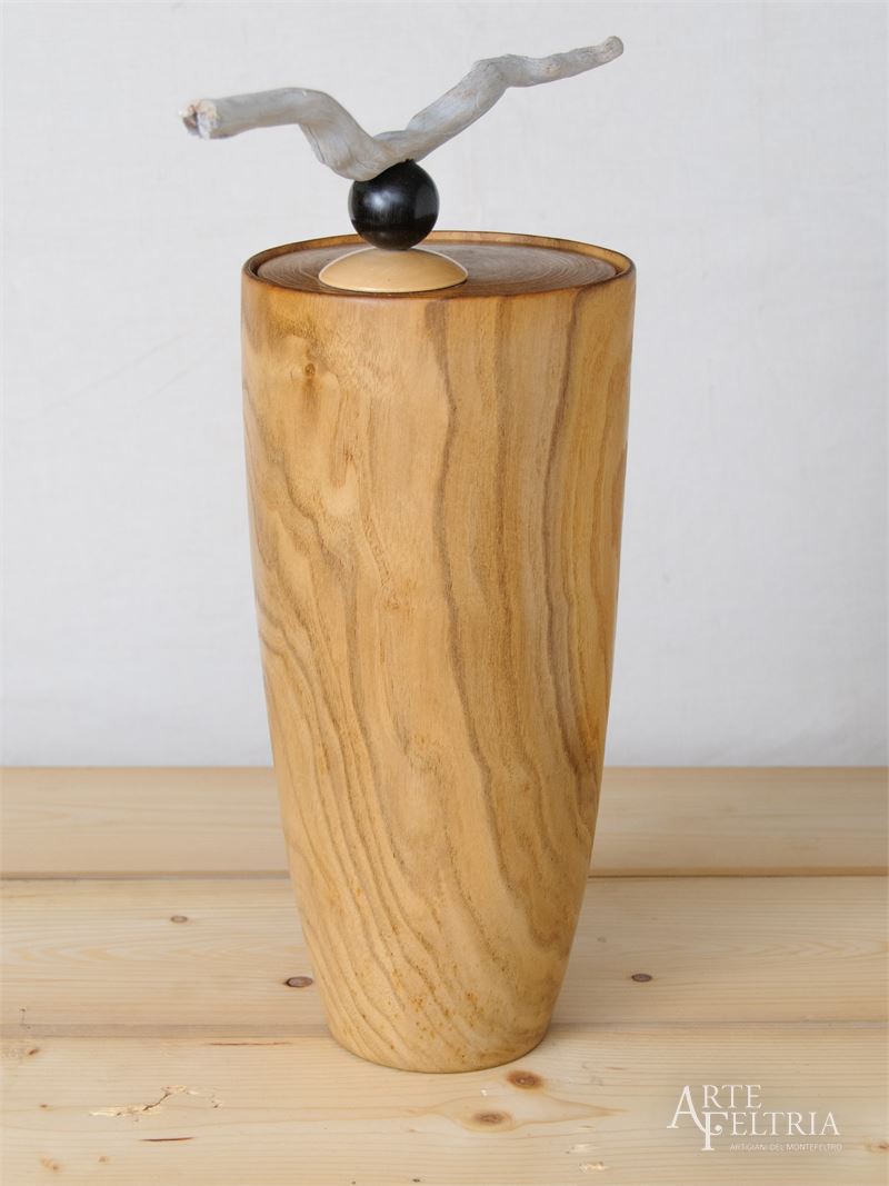 Video vaso in sofora