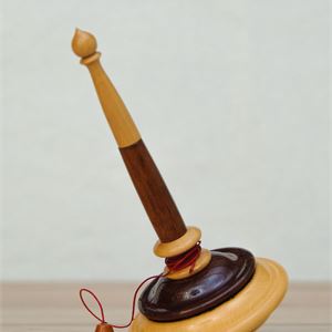 Trottola a filo, "Saturno"